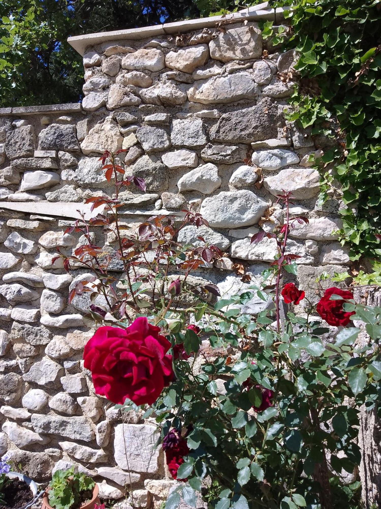 Les Gites Du Mont Ventoux Bedoin Exterior photo