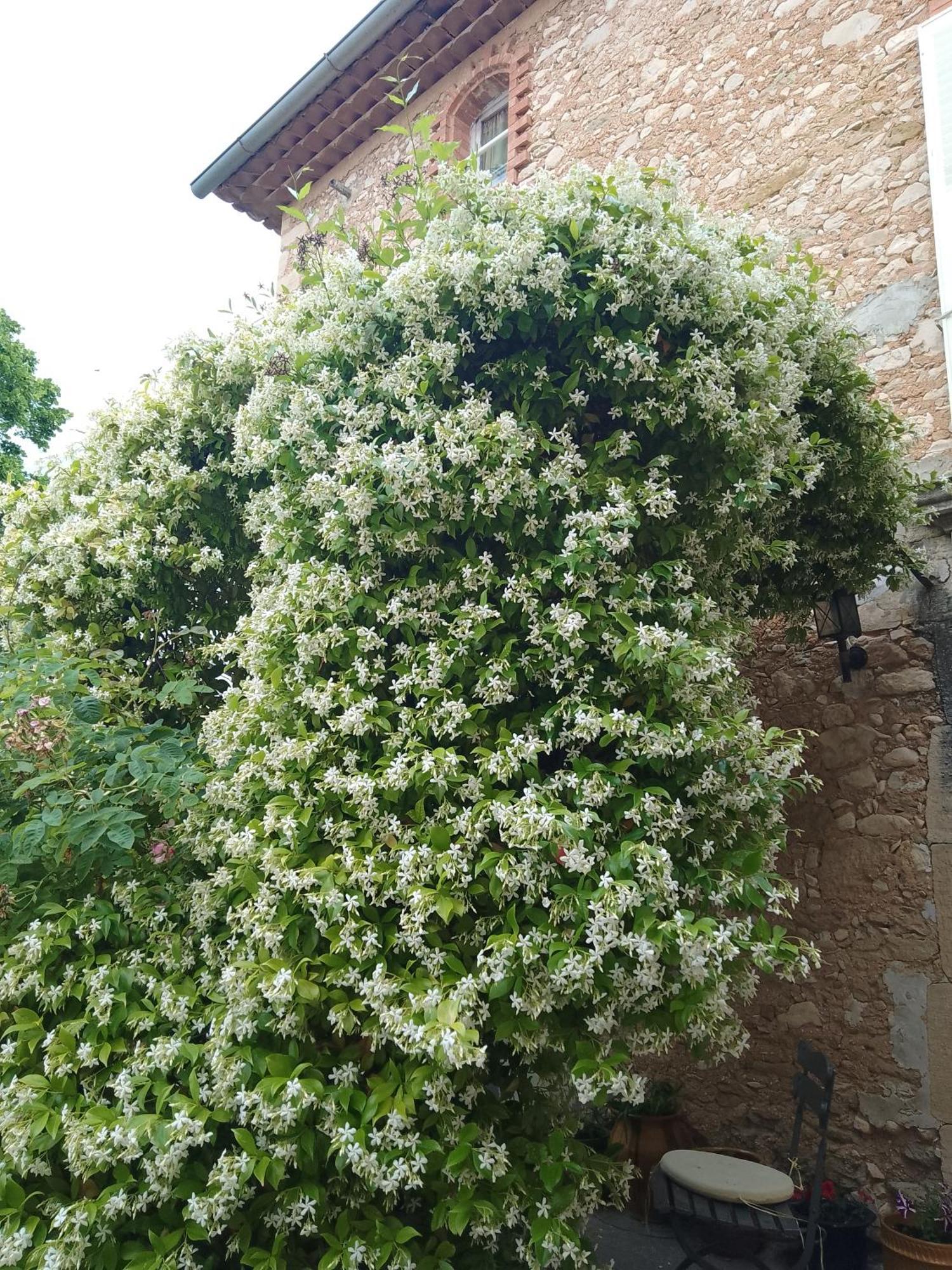 Les Gites Du Mont Ventoux Bedoin Exterior photo