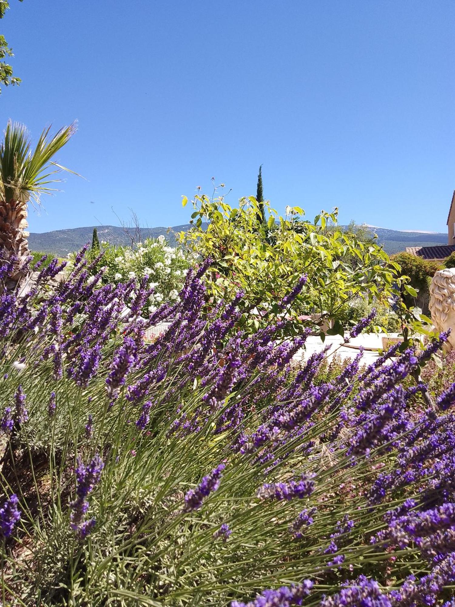 Les Gites Du Mont Ventoux Bedoin Exterior photo